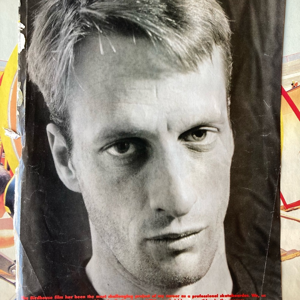 2 Tony Hawk Birdhouse clippings